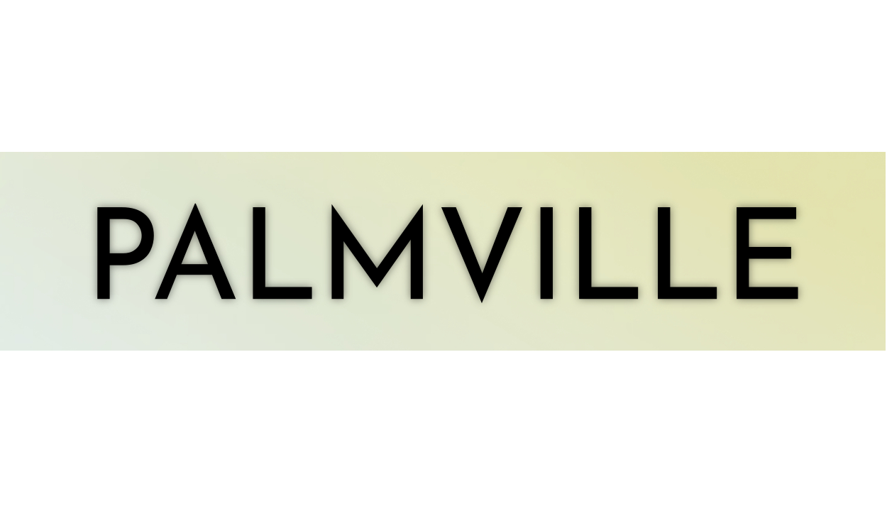 I Wrote A Book! Introducing: Palmville